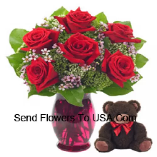 6 rote Rosen mit einigen Farnen in einer Glasvase zusammen mit einem niedlichen 14 Zoll großen Teddybären