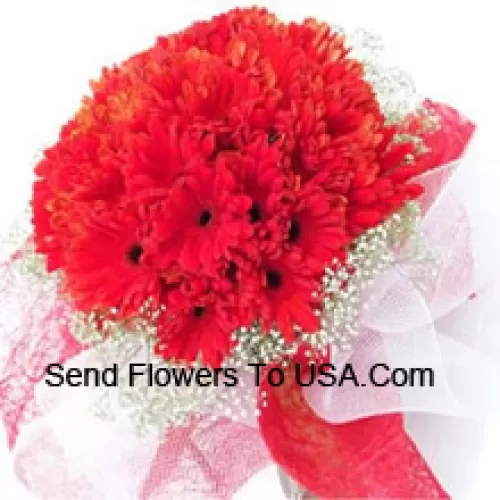 A Beautiful Bunch Of 36 Red Gerberas With Seasonal Fillers