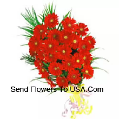 Bouquet de 24 Gerberas rouges