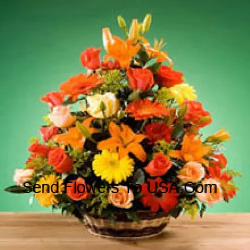 Basket Of Assorted Flowers Including Roses and Gerberas Of Assorted Color. This Basket Also Has Seasonal Fillers