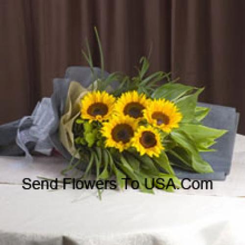 Handpicked Sunflowers Bunch