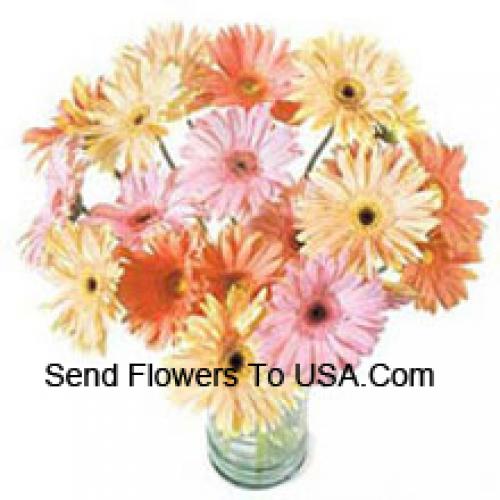 24 Fancy Assorted Gerberas