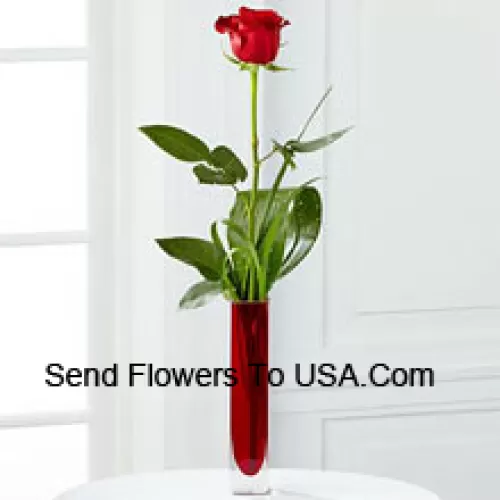 Eine einzelne rote Rose in einer roten Reagenzglasvase (Wir behalten uns das Recht vor, die Vase bei Nichtverfügbarkeit zu ersetzen. Begrenzter Vorrat)